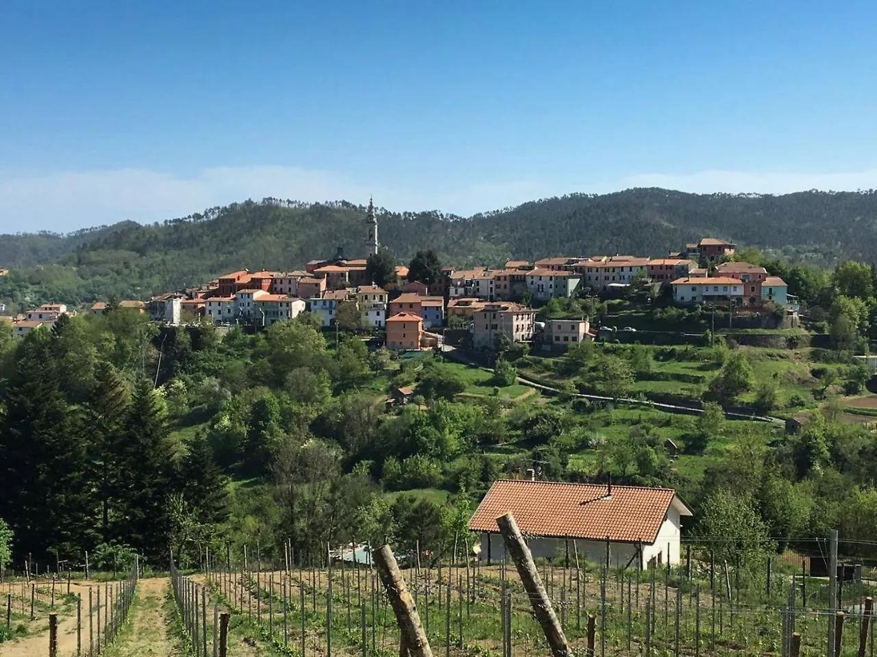 Holiday home La Paganina Suite Carro